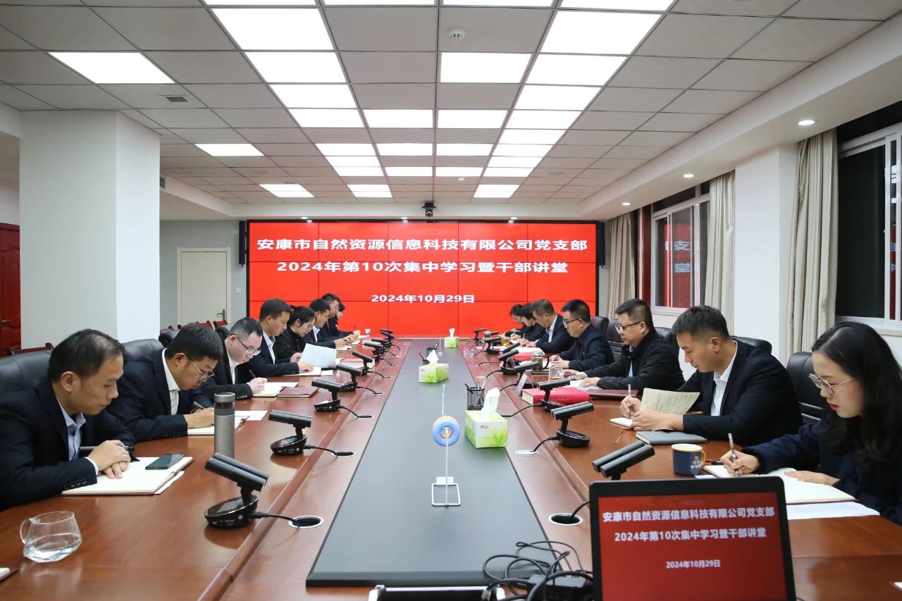 市自然資源信息科技有限公司黨支部開展2024年第十次集中學(xué)習(xí)暨干部講堂