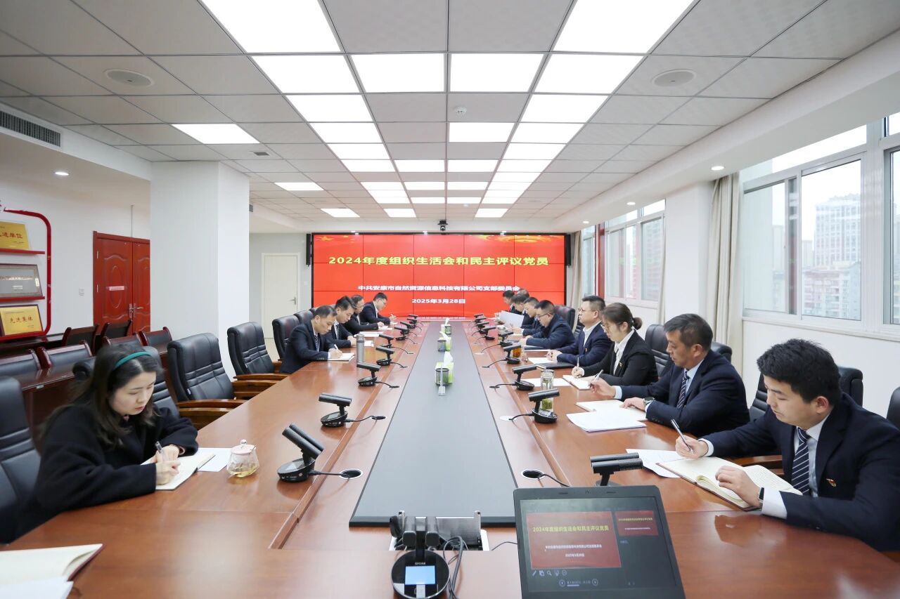 安康市自然資源信息科技有限公司黨支部召開2024年度組織生活會和民主評議黨員會議